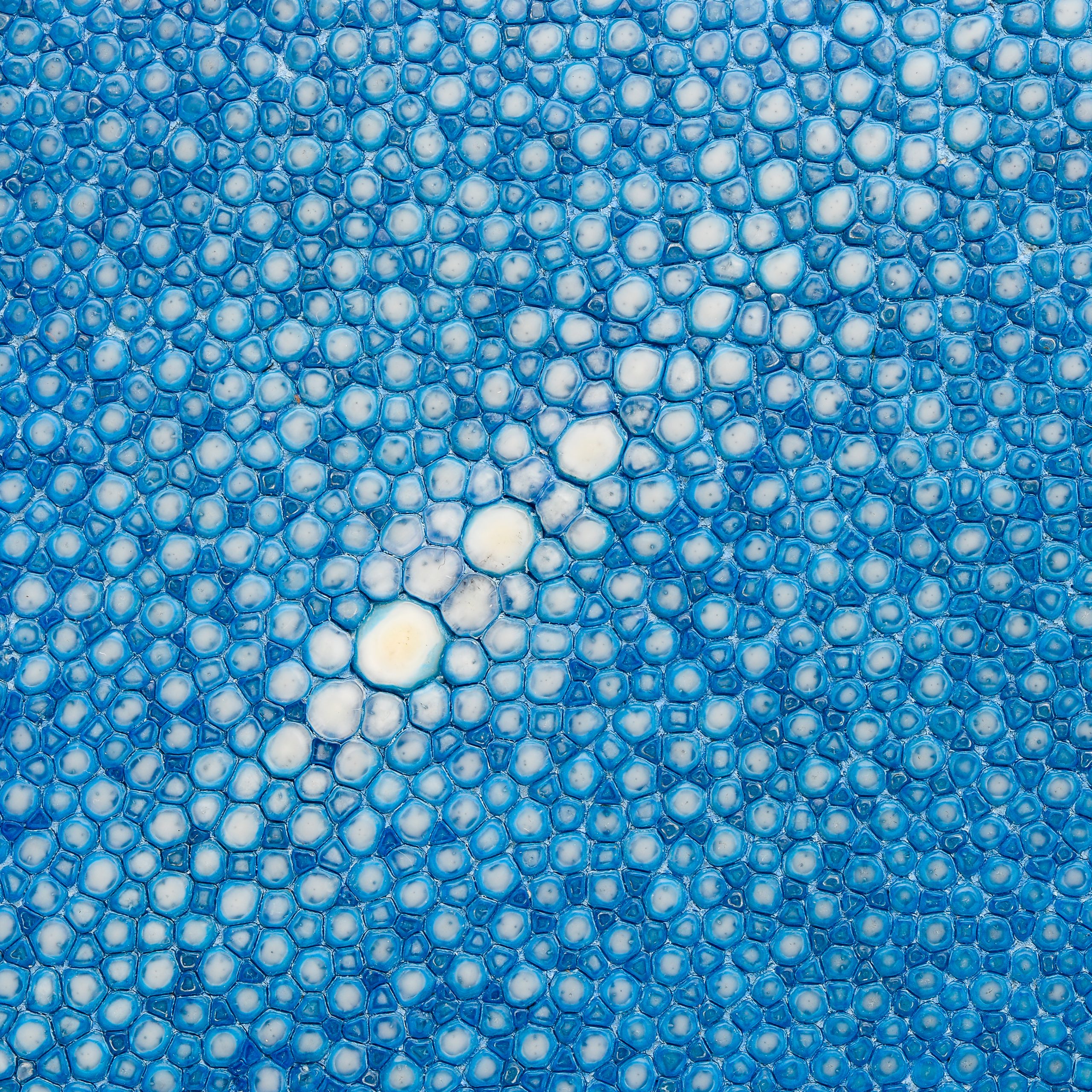 Arctic Therapeutics Announces Enrollment of First Patients in Phase IIa Trial of AT-004 for Acne Vulgaris
